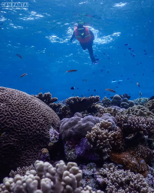 Taman Nasional Wakatobi adalah sebuah taman nasional yang terletak di Kabupaten Wakatobi, Provinsi Sulawesi Tenggara, Indonesia. "Wakatobi" sendiri adalah kependekan dari "Wangi-Wangi, Kaledupa, Tomia, dan Binongko", yang merupakan empat pulau utama di wilayah taman nasional ini. Taman Nasional Wakatobi memiliki luas sekitar 1,39 juta hektar dan terdiri dari hampir 900 pulau dan atol karang, yang membuatnya menjadi salah satu taman nasional laut terluas di Indonesia.