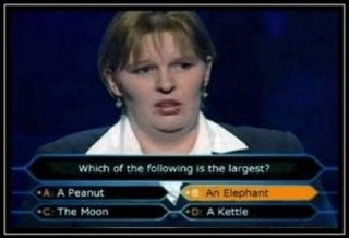 Which is Larger? Elephant or Moon.