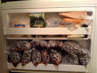 freezer door full of blackberries