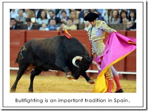 bulffight