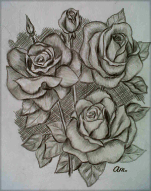 Lukisan Pensil  Bunga  Mawar  Klasik