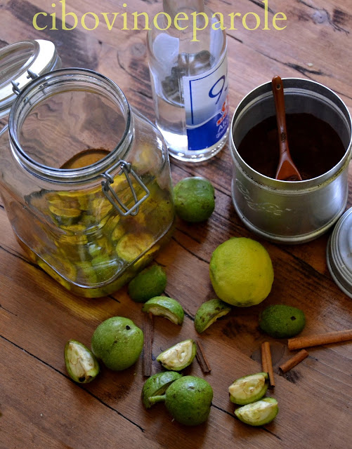 Nocino fatto in casa ingredienti