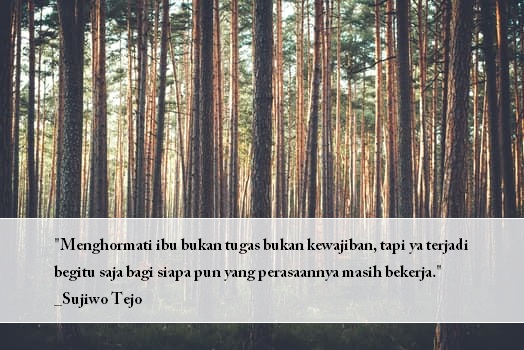 Quote Sujiwo  Tejo  tentang Tuhan Talijiwo dan Rahvayana 