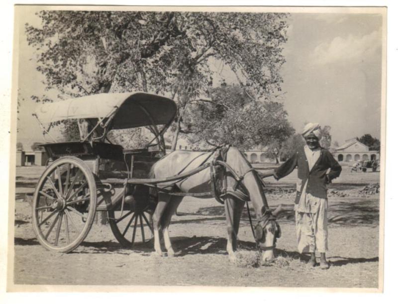 A Tonga Wallah with his Carriage - Ambala Haryana 1945