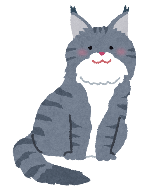 メインクーンのイラスト 猫 かわいいフリー素材集 いらすとや