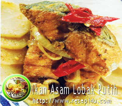 Ikan Hias Foto ikan putih