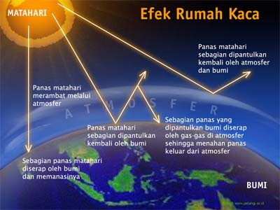 Yang Dimaksud Efek  Rumah  Kaca  Contoh Artikel