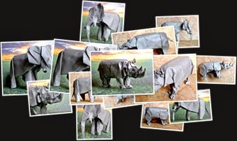View Origami Africa