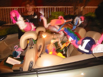 Flamingos in the back seat