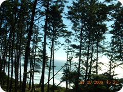 DSCN0741