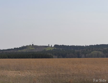 IMG_3901