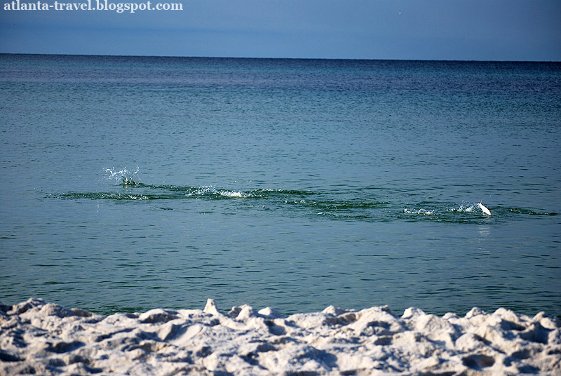 Panama City Beach Florida Панама Сити Бич Флорида