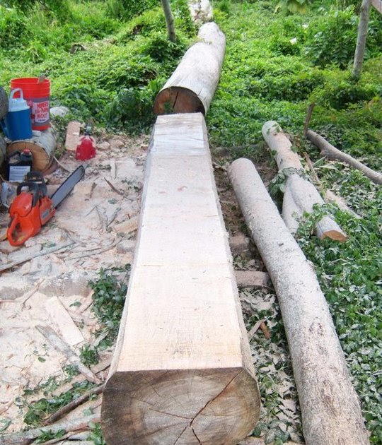traditional outrigger, dugout canoe for sale: day one of