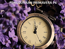 Pentingnya Penggunaan Primavera P6 untuk Penjadwalan Proyek