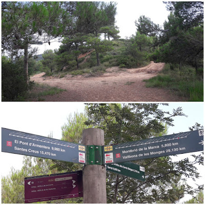 GR-175 Ruta del Cister, Santes Creus a Rocafort de Queralt, camí cap al Coll de Maldà