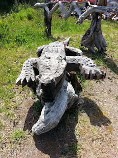 driftwood crocodile