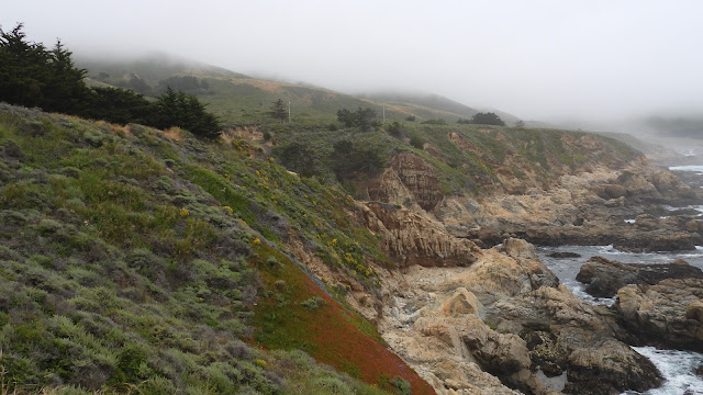 Day 13 - Pacific Coast Highway