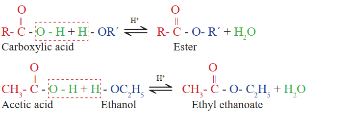 C) Reaction of carboxylic acid with alcohols (esterification reaction)