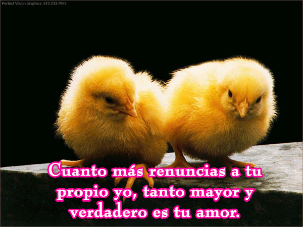 de amor con frases. amor frases. frases de amor