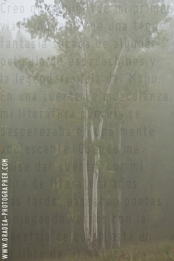 Serie 'La poesía escondida' || © orádea 2012