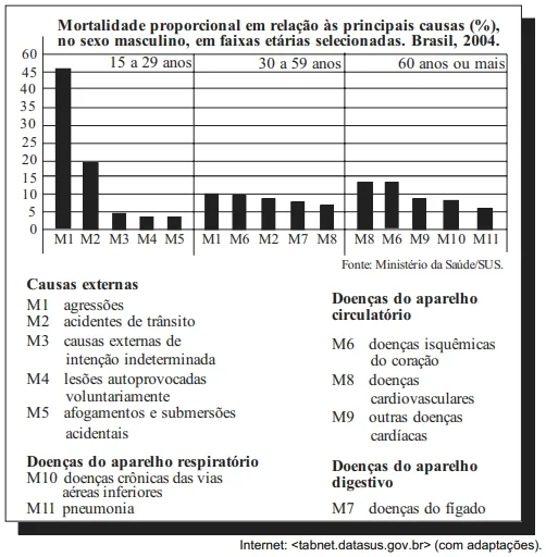 A figura abaixo apresenta dados percentuais que integram os Indicadores Básicos para a Saúde, relativos às principais causas de mortalidade de pessoas do sexo masculino.