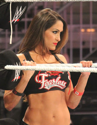 WWE Nikki Bella Beautiful HD Wallpaper