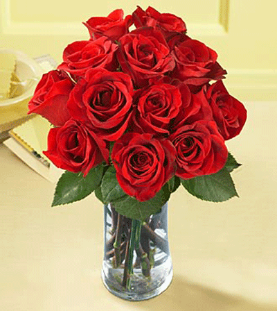 red rose flowers pictures.