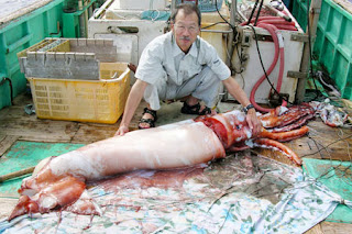 calamares devoradores de hombres