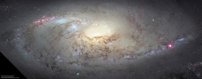 m106_lumhst_colorablock_red1