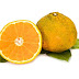 The Ugli Fruit: A Surprisingly Delicious Citrus Chimera