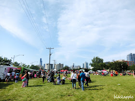 Chicago Food Truck Festival 2015_chitown