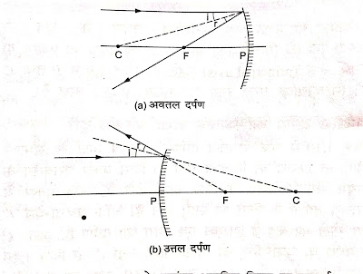 If the mirror is convex, it appears to be coming from its focus (F).