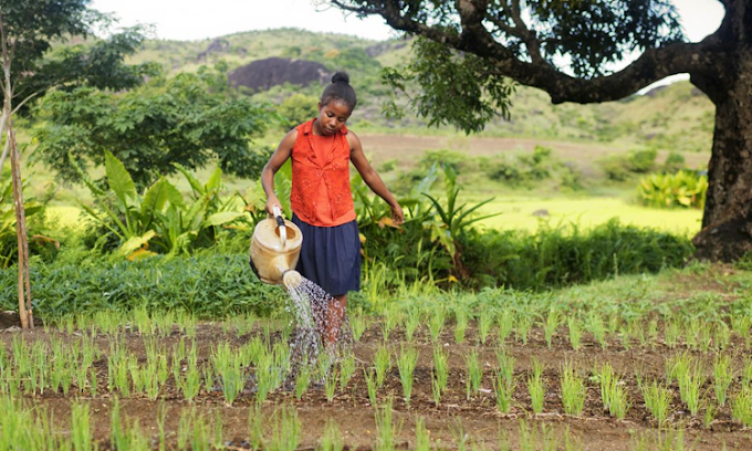  AGRICULTURE ET ALIMENTATION | Réunion de la « Task Force » régionale