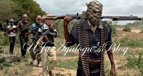 Boko Haram members ‘relocating from Sambisa to Taraba forest’