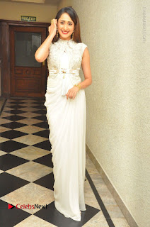 Actress Pragya Jaiswal Stills in Beautiful White Dress at turodu Audio Launch  0049.JPG