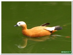 20120403_062536_011_Xiamen-Park