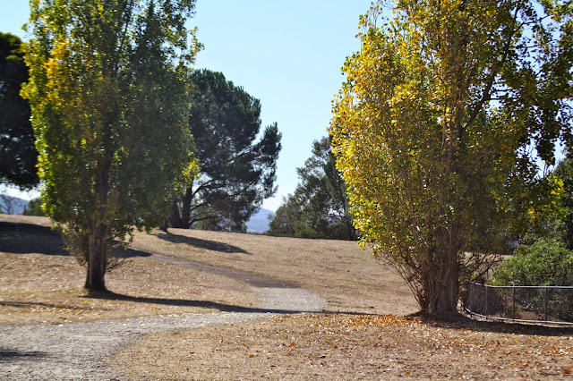 Sugarloaf Reservoir, Christmas Hills