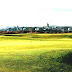 St Andrews - Visiting St Andrews Golf Course