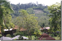 Pekan Baling 057