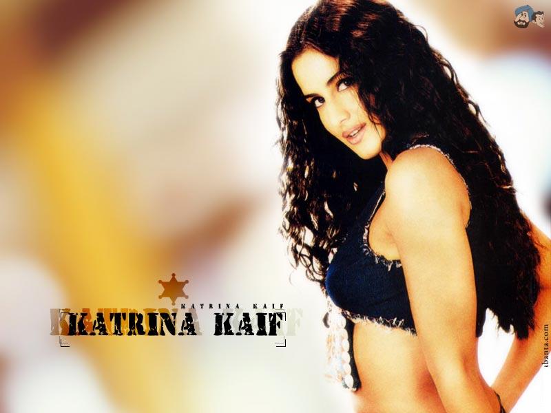 Sexy Actress Katrina Kaif Hot And Bikini Navel Photos