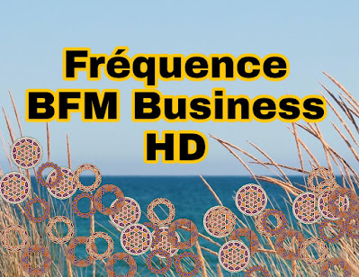 Fréquence de la chaine BFM Business sur le satellite Astra 19.2 E  en HD