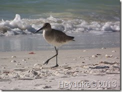 bonita beaches 002