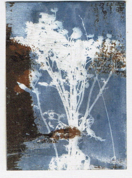 Cyanotype Test2