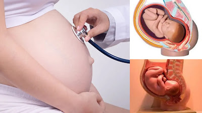 What Is Obstetrics Gynecology