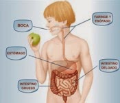 http://www.librosvivos.net/smtc/PagPorFormulario.asp?idIdioma=ES&TemaClave=1060&est=0