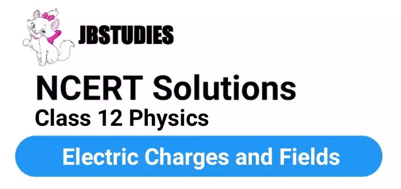 Solutions Class 12 Physics Chapter-1 (Electric Charges and Fields)