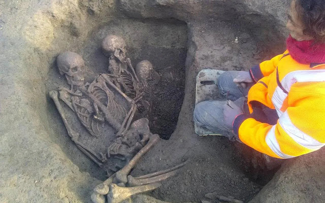 Τα ανθρώπινα λείψανα τοποθετήθηκαν πάνω από τα λείψανα βοοειδών και βοδιών. [Credit: INRAP]