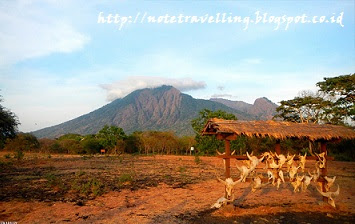 TAMAN NASIONAL BALURAN