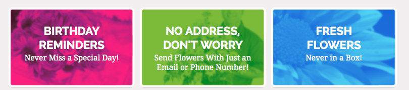 Pocket Flowers APP to Send Flowers to Anyone Anywhere Anytime Plus DISCOUNT CODE by BeckyCharms