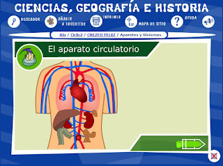  sistema circulatorio